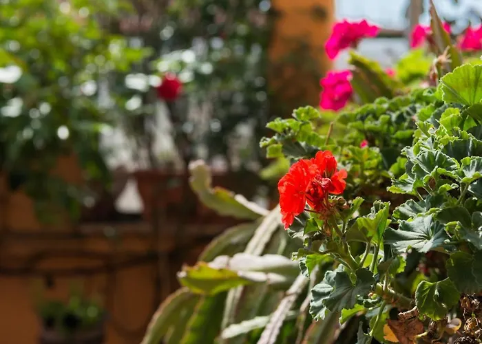 Apartamento Casa Via Cesena *