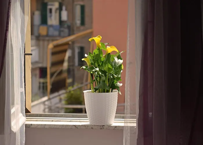 Casa Via Cesena Roma